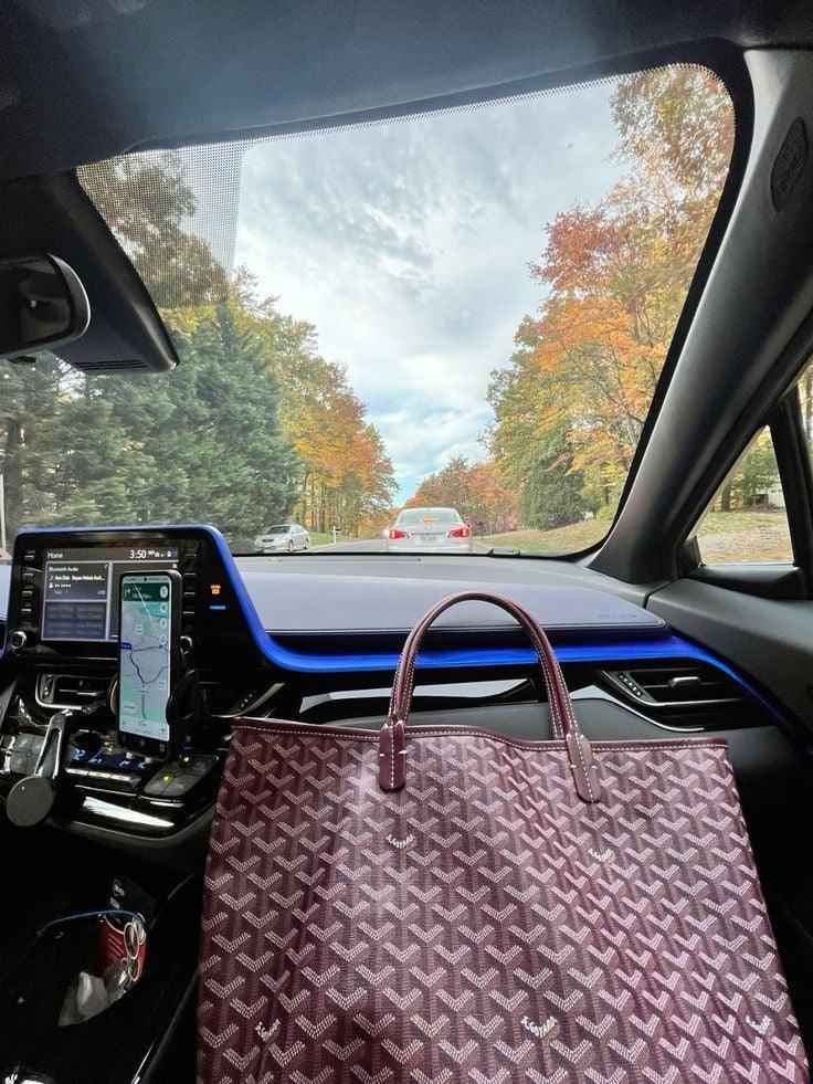 Goatlv - Goyard Bags - 194 GoatLV
