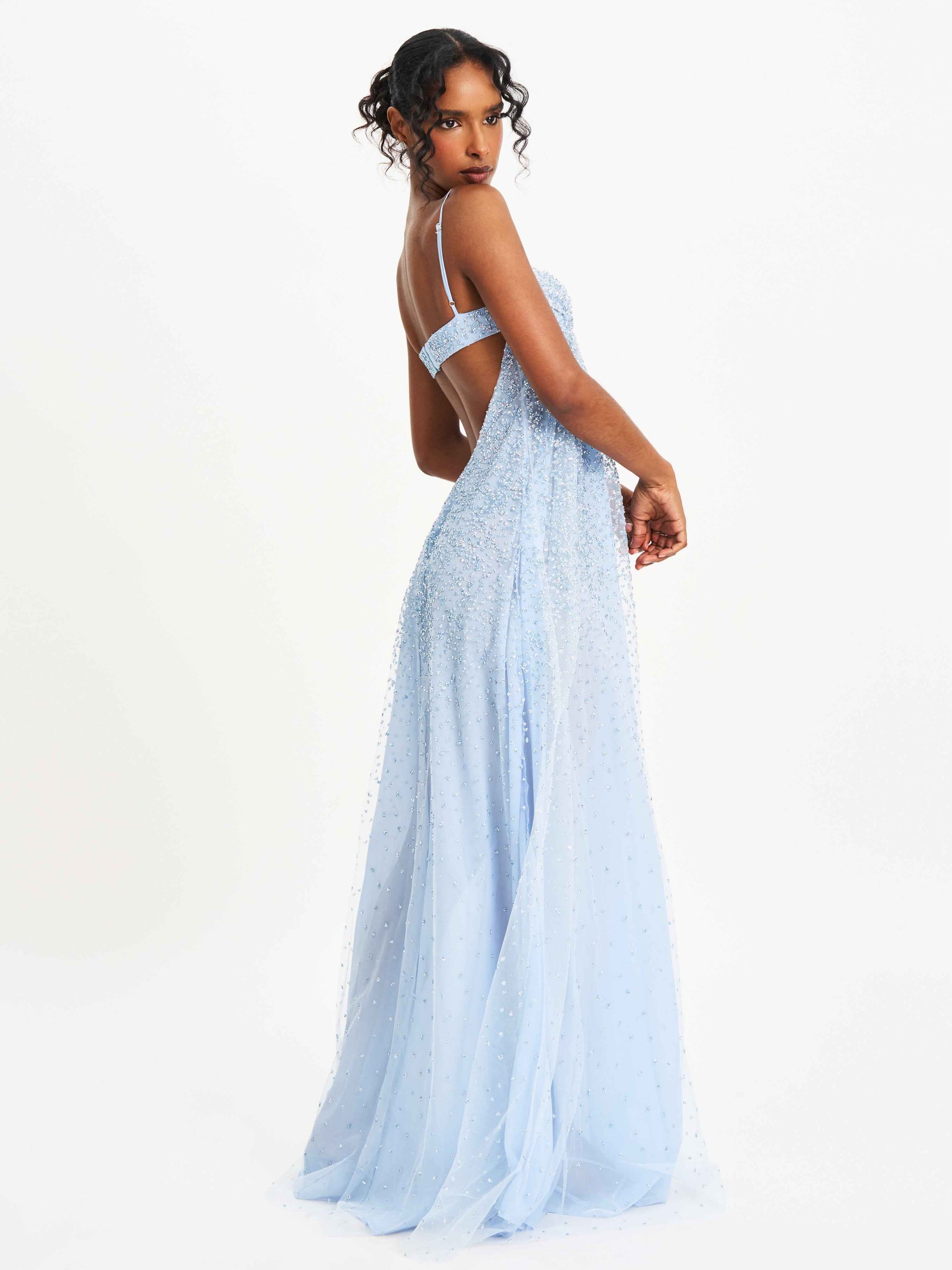 Wallie Baby Blue Rhinestone Embellished Mesh Backless Gown
