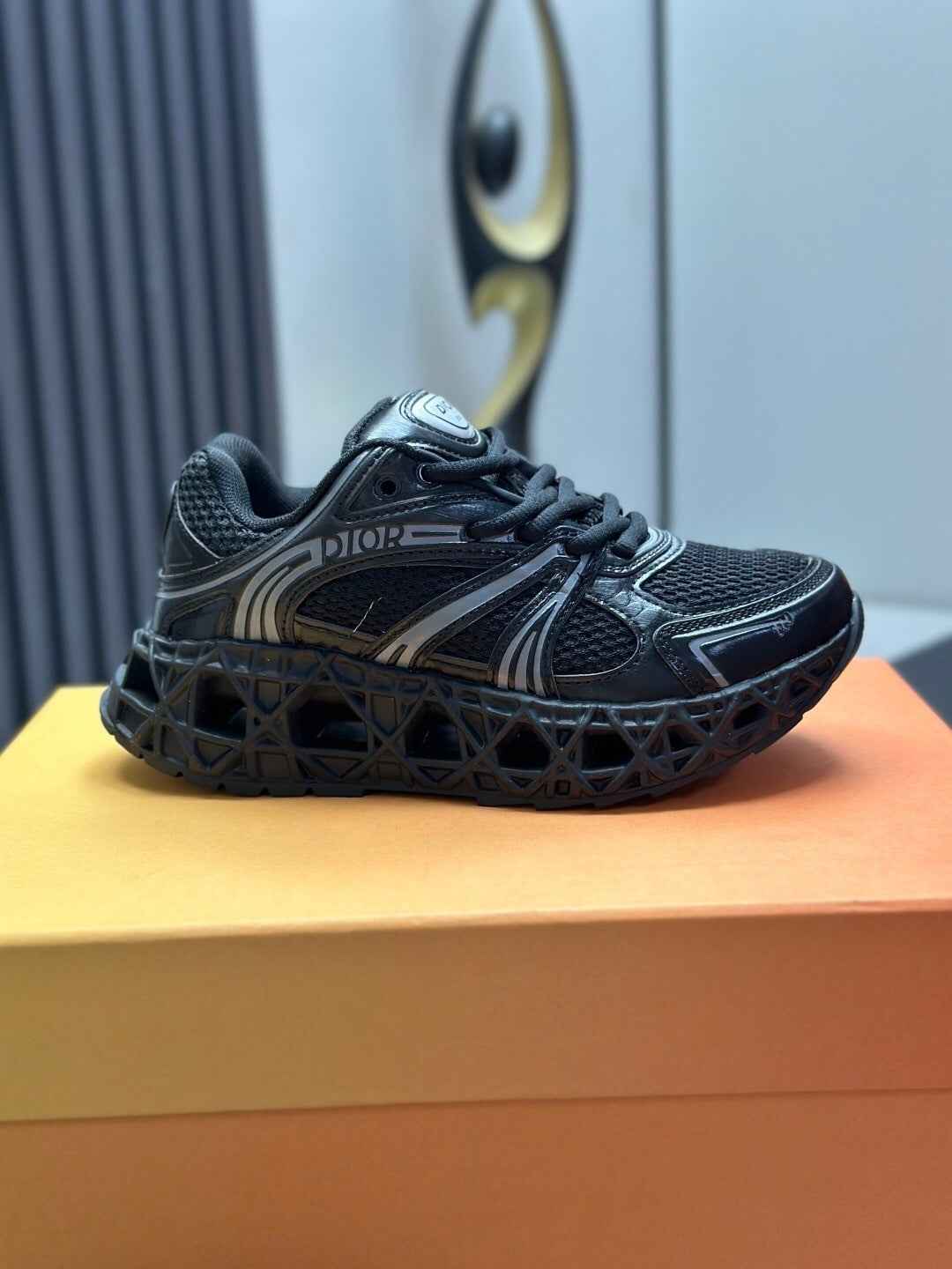 CD Dior B35 Sneaker 001