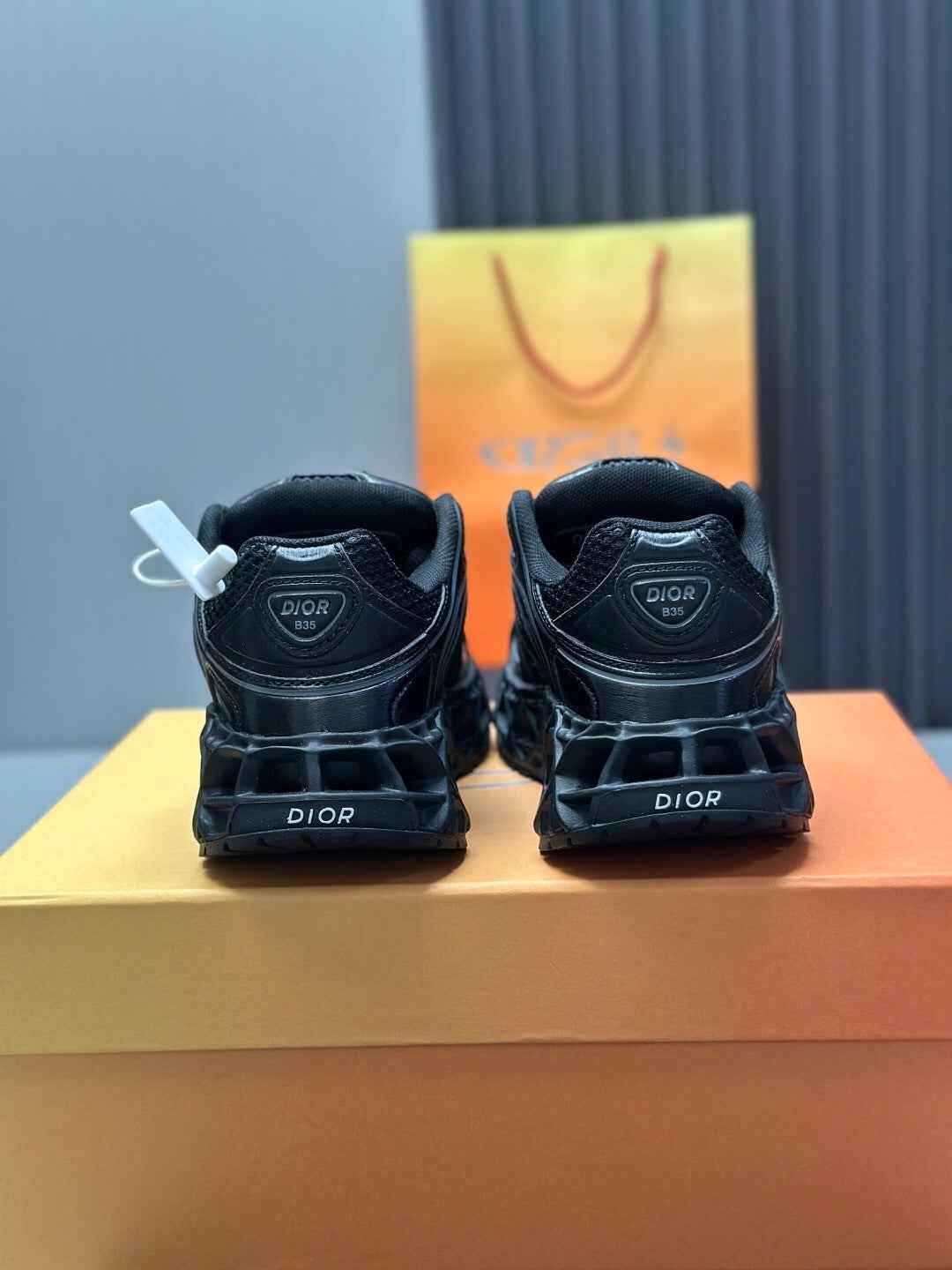 CD Dior B35 Sneaker 001