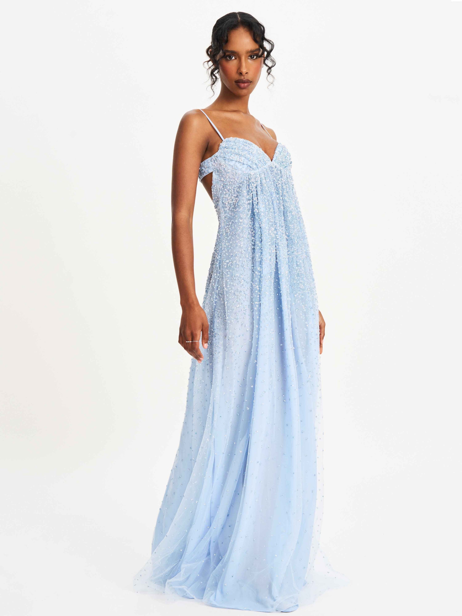 Wallie Baby Blue Rhinestone Embellished Mesh Backless Gown