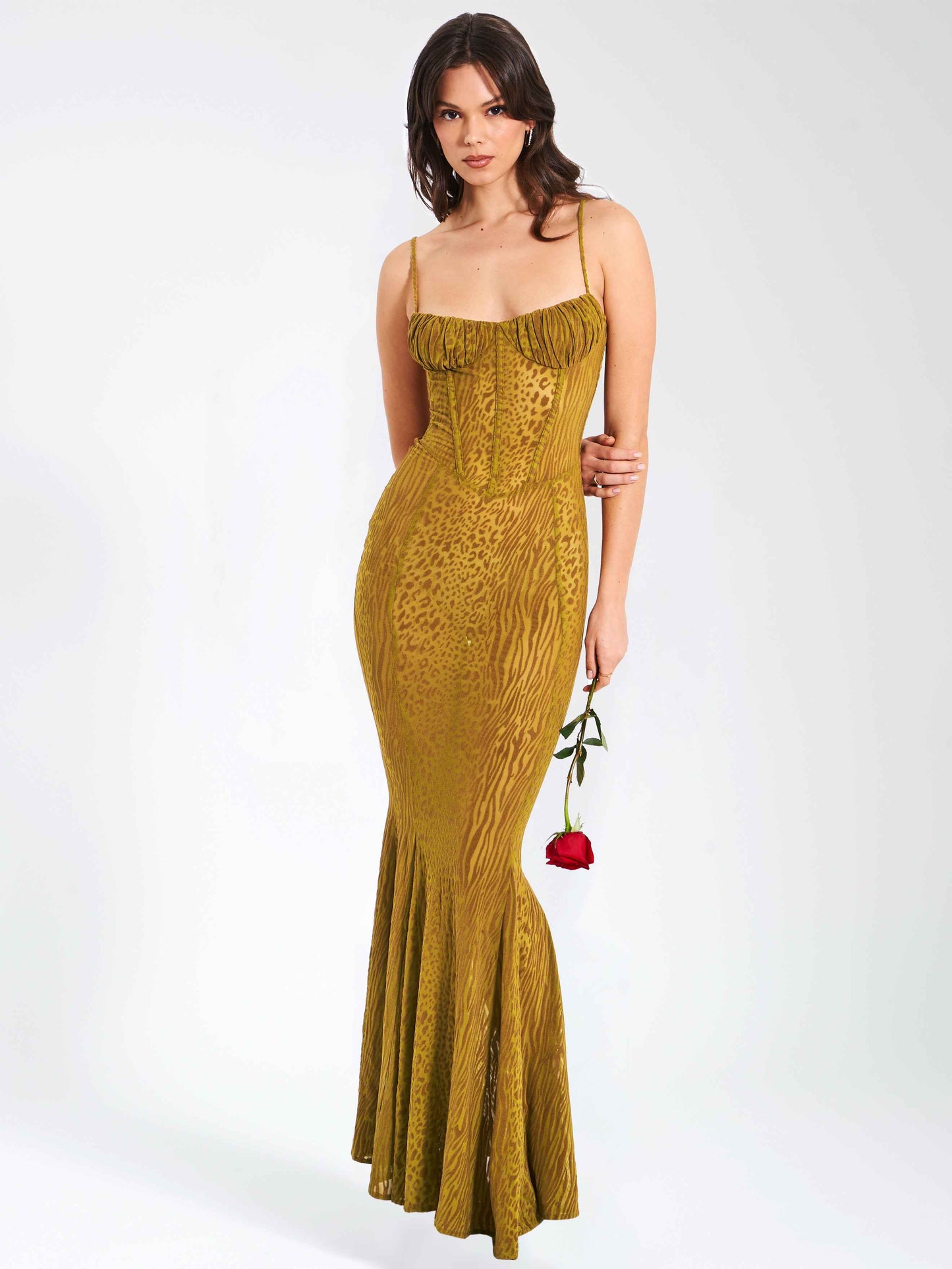 Ulani Gold Burnout Velvet Detail Mesh Maxi Dress