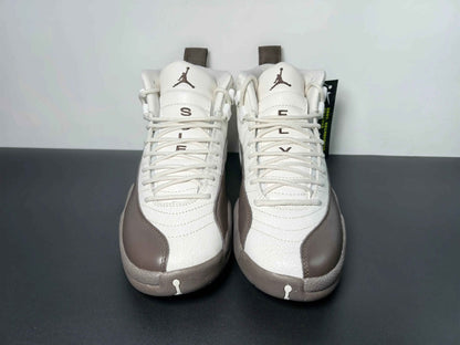 Custom Air Jordan 12 Sole Fly Cafe FZ5026-100