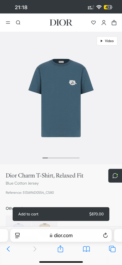 Sneakernational - Christian Dior T-Shirt 0011