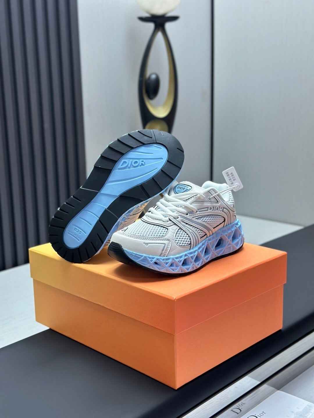 CD Dior B35 Sneaker 004