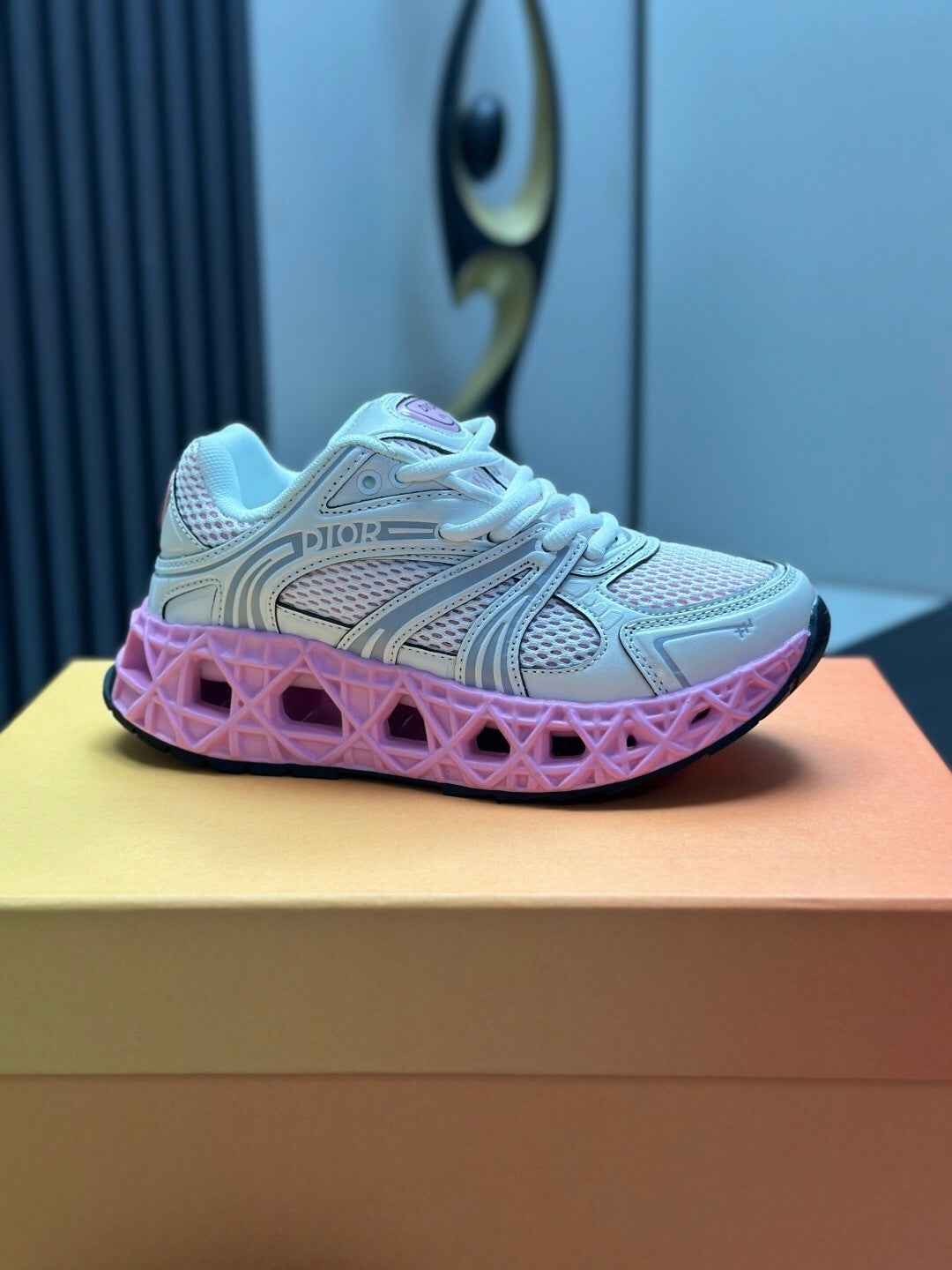 CD Dior B35 Sneaker 003