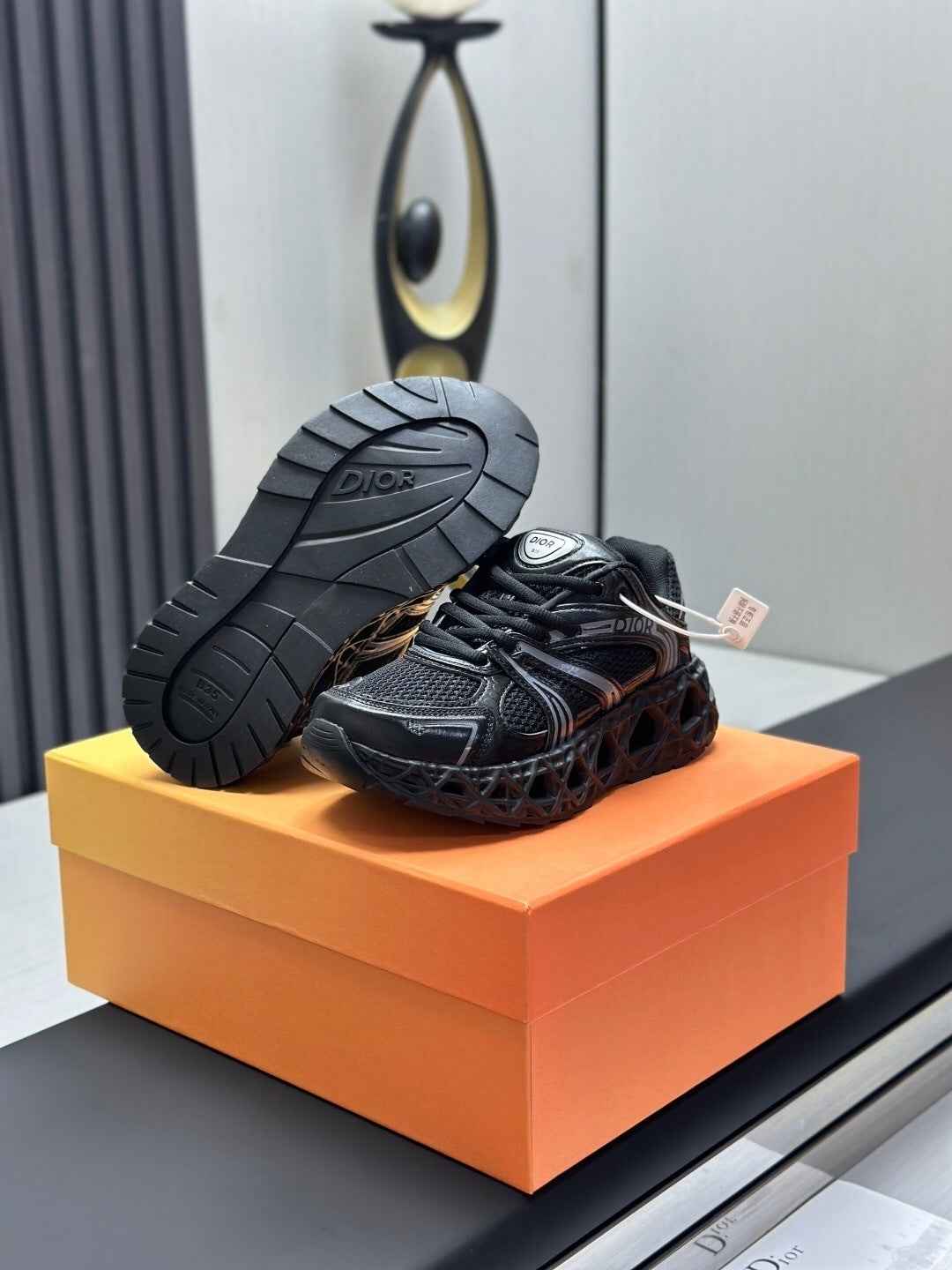 CD Dior B35 Sneaker 001