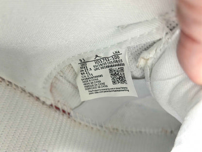 Jordan Air Jordan 3 Mexico “El Vuelo”